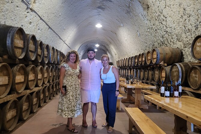Santorini Volcanic Wine Tour – Private Tasting with Local Expert - What you’ll taste: 12 wines and how to make it count