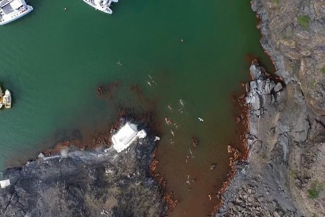 Santorini Volcano Tour - Palea Kameni hot springs: mud, sulfur water, and the swim rules you shouldn’t ignore