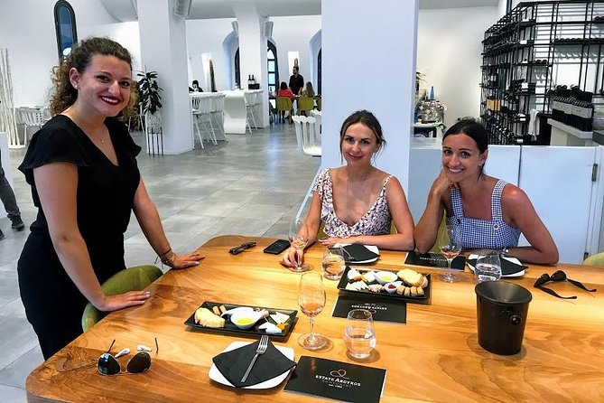 Santorini Wine and Food Experience with pick up included - Price check: is $230.48 per person good value?