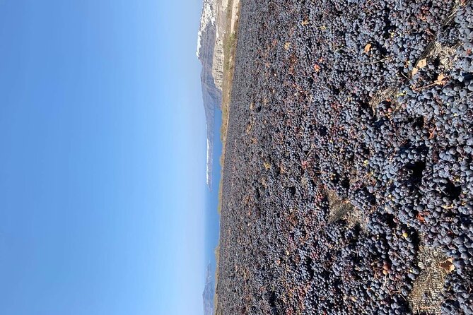 Santorini Wine Experience: 3 Wineries, 12 Tastings & Sunset view - Price and Value: Why $349.46 Can Feel Fair (When You Add Up the Pieces)