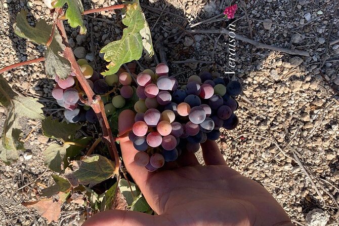 Santorini Wine Experience: 3 Wineries, 12 Tastings & Sunset view - The Driver Factor: When the Day Feels Smooth