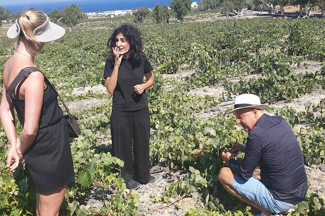 Santorini Wine Secrets - Should you book Santorini Wine Secrets?