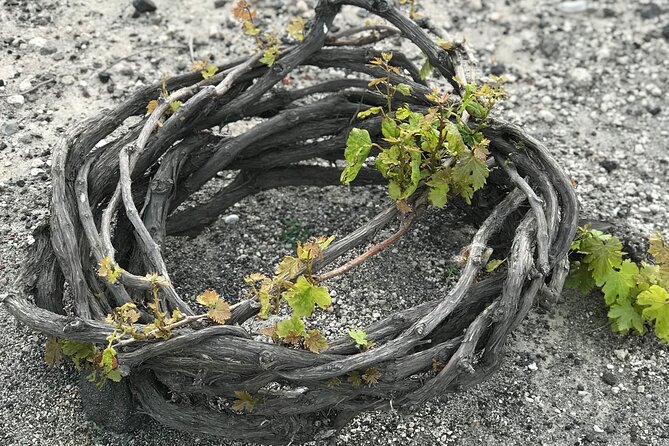 Santorini wine tasting and Traditional Cave Settlement Tour - Pickup and drop-off: the hidden value in a short 2.5-hour outing