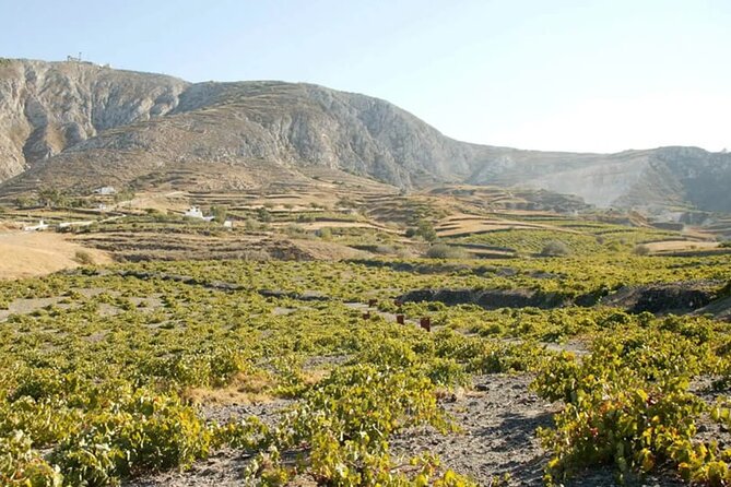 Santorini Wine Tasting: Day or Sunset Private Tour - Pairings and snacks: good, but plan around the no-meal reality
