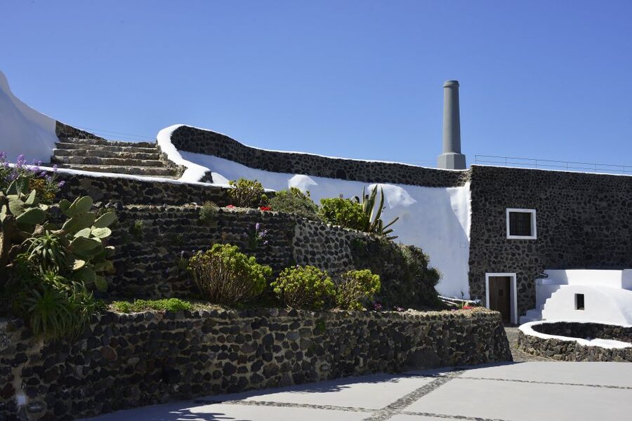 Santorini: Wine Tasting Tour to 3 Wineries with Transfer - The tasting lineup: what you’re likely to pour, sip, and compare