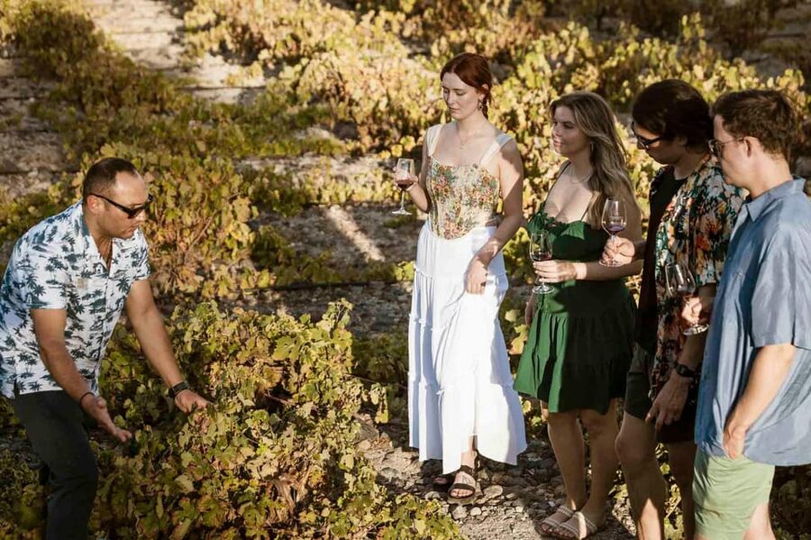 Santorini: Wine Tasting Tour with Snacks - Santo Winery: the waterfront moment, plus sunset magic on the last stop
