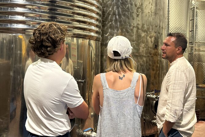 Santorini Wine Tour: 2 Wineries with Tastings & Local Snacks - Stop 1: Gavalas Winery in Megalochori and the native grape focus