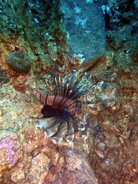 Scuba Diving in the Volcanic Caldera/shorelines of Santorini - What Makes the Safety Briefing So Important Here