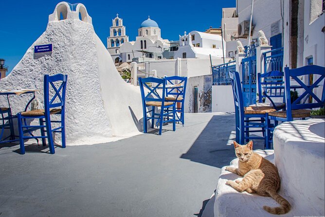 Shore Excursion for Cruise Passengers 4 Hours Private Tour - The big picture: a one-day hits-and-views Santorini route