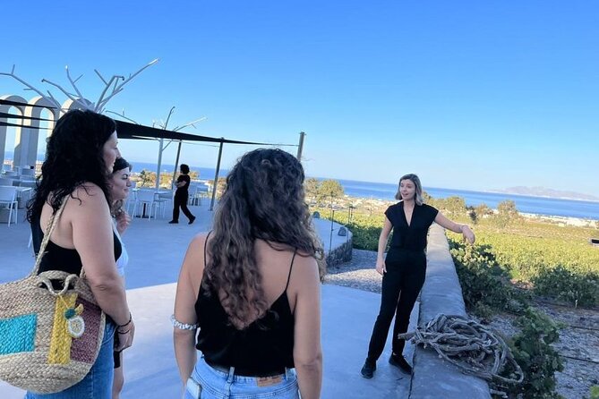 Small Group Local Wine Tasting Tour In Santorini - Key Highlights Before You Go