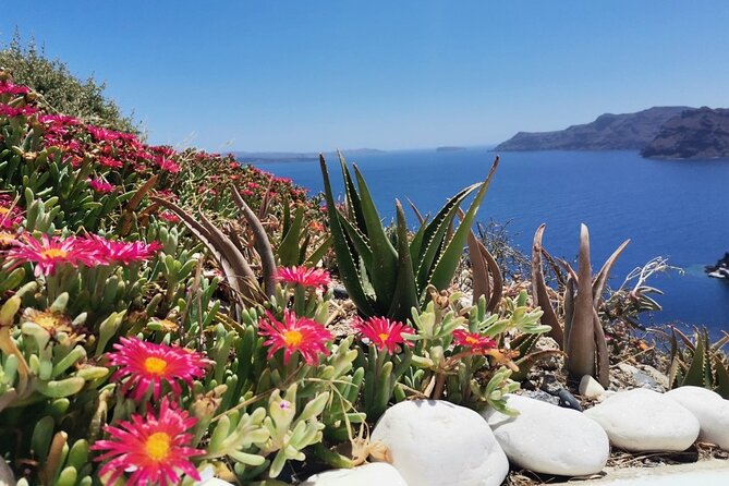 Terroir Santorini – Volcanic Heritage & Wine Experience - Profitis Ilias Monastery: 360° views and handmade monastic treats