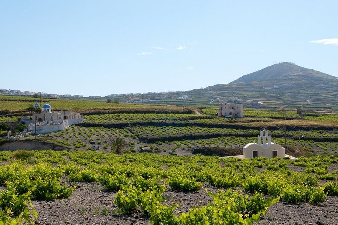 Terroir Santorini – Volcanic Heritage & Wine Experience - Akrotiri Archaeological Site: walking streets preserved under volcanic ash