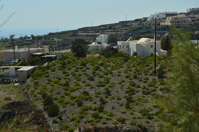The Whole 9 Yards Full-Day Small-Group Tour of Santorini - Akrotiri Archaeological Site: Admission Included, Guidance Not
