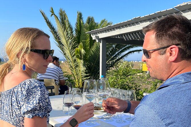 Wine Tasting and Traditional Feast at Greek Taverna in Pyrgos! - Artemis Karamolegos Winery: a full process tour and a courtyard tasting